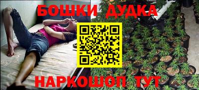 спиды Сланцы