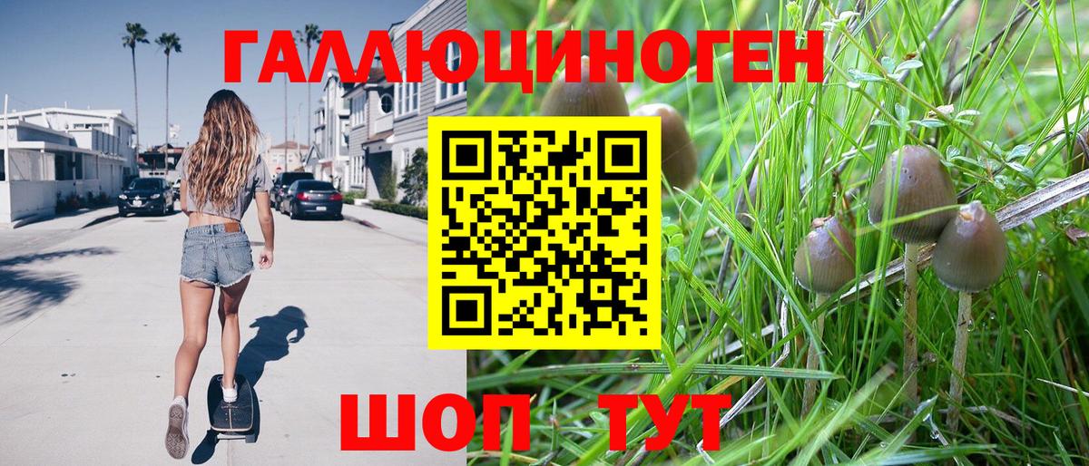 Галлюциногенные грибы ЛСД  Псилоцибиновые грибы мухоморы  Вход с VPN  Орск 